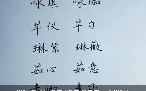 男孩海子的名字(海字取名字大全男孩)