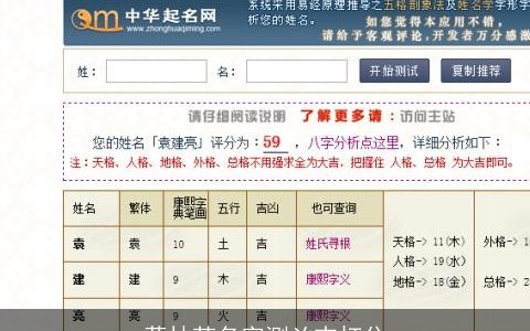 蒋林芝名字测凶吉打分
