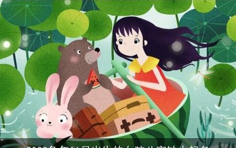 2023兔年11月出生的女孩八字缺木起名