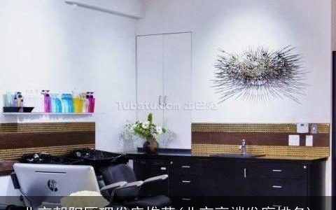 北京朝阳区理发店推荐(北京高端发廊排名)