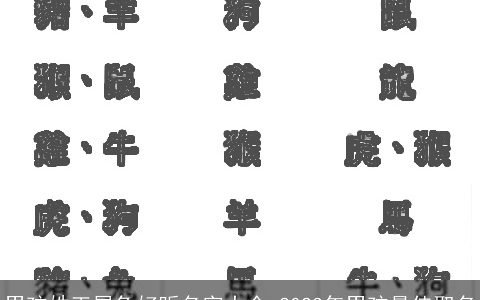 男孩姓王属兔好听名字大全 2024年男孩最佳取名