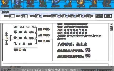 2024年2月9日出生男孩怎么起名 响亮大气的男宝宝名字大全 洋气大气的男孩男宝宝名字