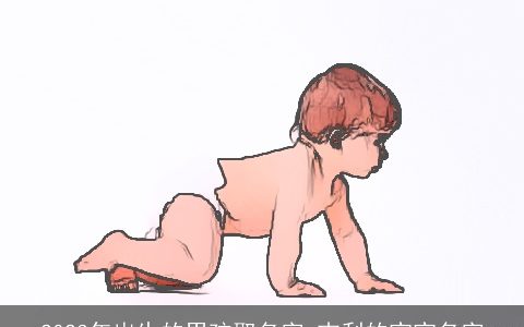 2023年出生的男孩取名字 吉利的宝宝名字