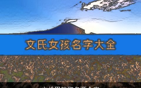文姓男孩取名两个字