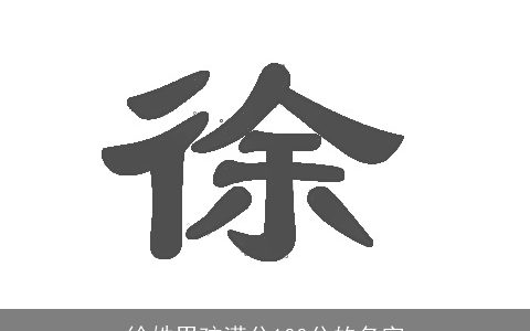 徐姓男孩满分100分的名字