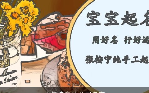 大气诗意的公司名字