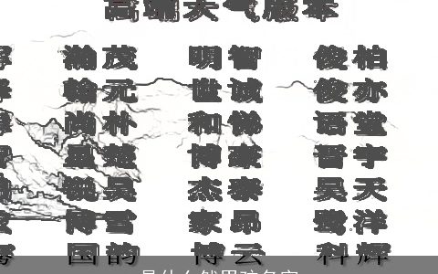 是什么然男孩名字