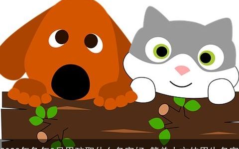 2023年兔年3月男孩取什么名字好 简单大方的男生名字