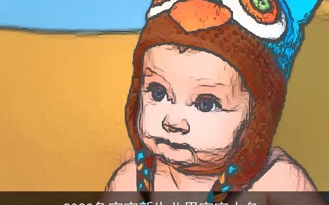 2024兔宝宝新生儿男宝宝小名_