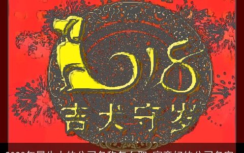 2024年属龙人的公司名称怎么取 寓意好的公司名字_