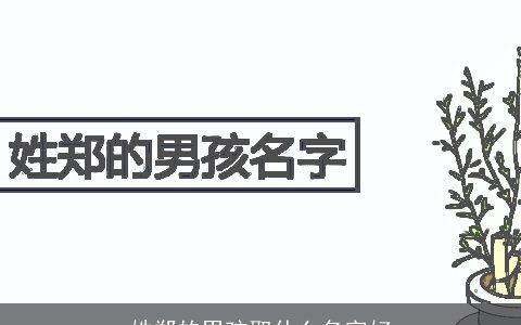 姓郑的男孩取什么名字好