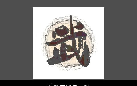 姓武字取名男孩