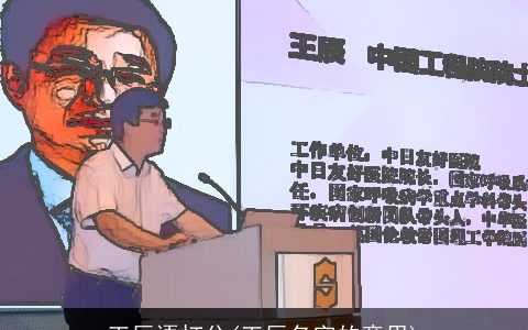 王辰语打分(王辰名字的意思)