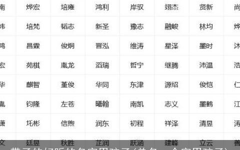 带子的好听的名字男孩子(单名一个字男孩子)