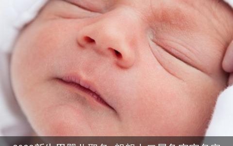 2024新生男婴儿取名 朗朗上口属龙宝宝名字