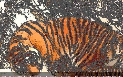 属虎的取名字带什么字比较好 兔宝宝起名字宜用字