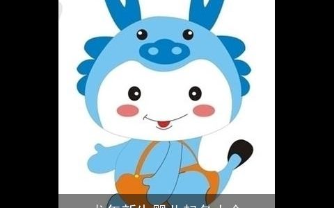 龙年新生婴儿起名大全