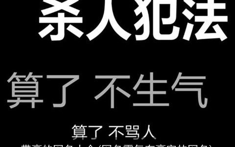 带豪的网名大全(网名霸气有豪字的网名)