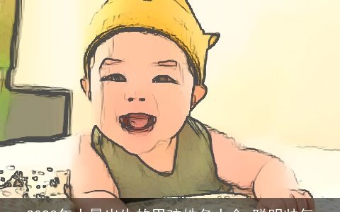 2023年大暑出生的男孩姓名大全 聪明帅气