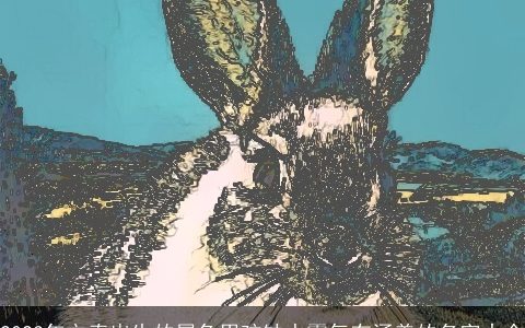 2023年立春出生的属兔男孩缺水霸气有涵养的名字大全