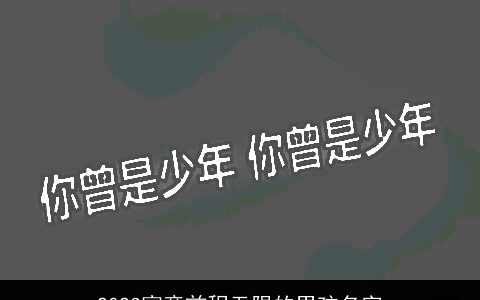 2023寓意前程无限的男孩名字