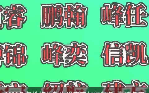 2023兔年姓施的新生男宝宝如何起名 自信名字