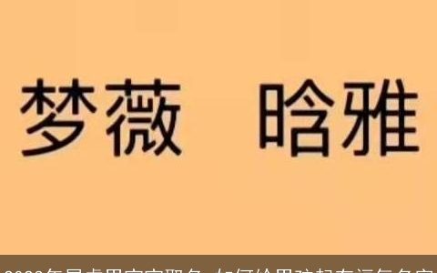 2023年属虎男宝宝取名 如何给男孩起有福气名字