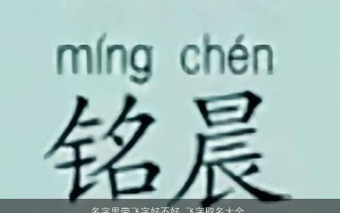 名字里带飞字好不好 飞字取名大全 2023好听稀少的带飞字宝宝名字大全