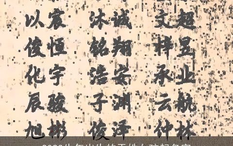 2023牛年出生的于姓女孩起名字