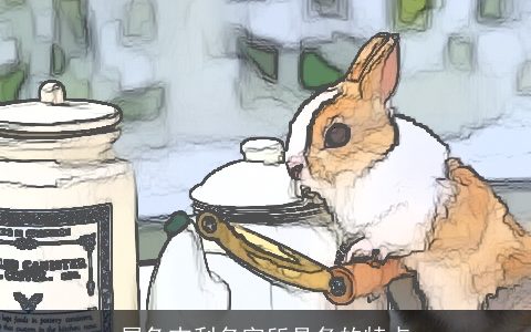 属兔吉利名字所具备的特点