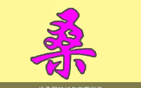 姓桑男孩好名字带寓意