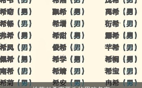 姓萧以希字开头的男孩名字