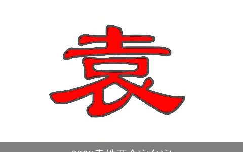 2023袁姓两个字名字