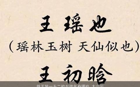 姓王独一无二的女孩名有哪些 太少见了 好听独一无二的王姓女孩名字大全