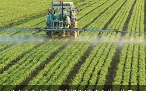 关于农业的平台哪个好(国内农业公司排名)