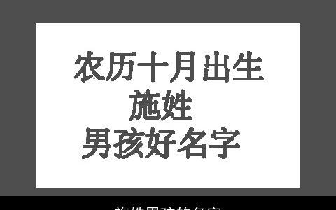 施姓男孩的名字