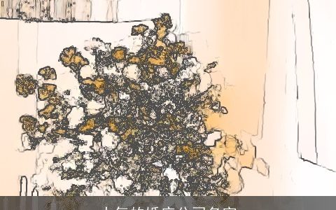 大气的婚庆公司名字