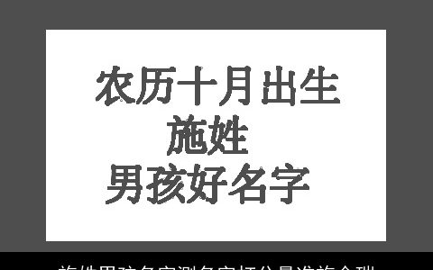 施姓男孩名字测名字打分最准施金瑞