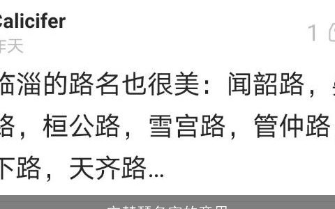 宋慧琴名字的意思