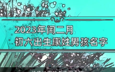 姓康的男孩名字四个字