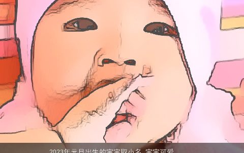 2023年元旦出生的宝宝取小名 宝宝可爱小名大全 有涵养可爱的宝宝小名宝宝小名名字
