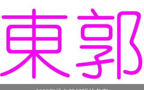 2024张姓女孩好听的名字