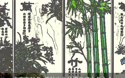 虎宝宝起名 芒种出生的男孩子小名大全