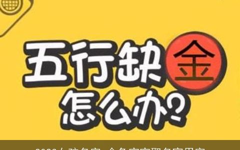 2024女孩名字 金龙宝宝取名宜用字