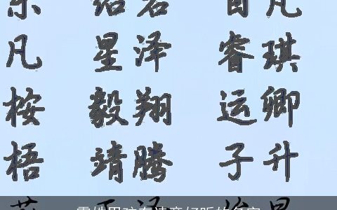 霍姓男孩有诗意好听的名字