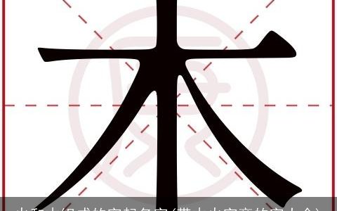 火和木组成的字起名字(带木火字旁的字大全)