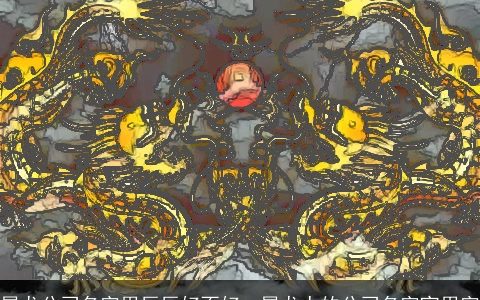 属龙公司名字用辰辰好不好  属龙人的公司名字宜用字