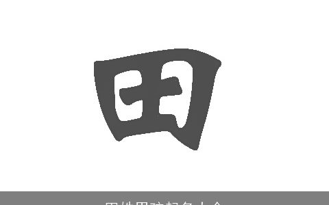 田姓男孩起名大全