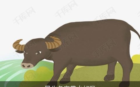 属牛名字带火好吗