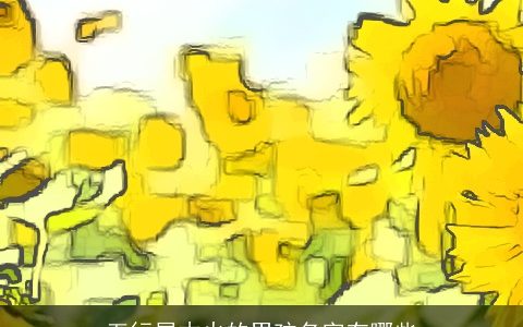 五行属木火的男孩名字有哪些